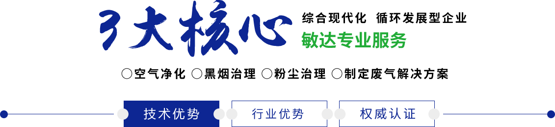 日逼大片网站wwwwww敏达环保科技（嘉兴）有限公司